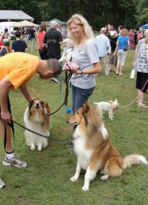 Pups and their people enjoying last year's Woofstock festival.