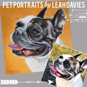 Pet Portraits by Leah Davies